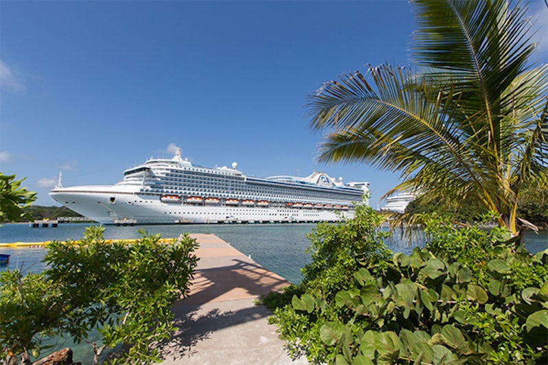 Exterior shot of Caribbean Princess in port with palm trees
