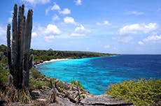 bonaire excursions excursion