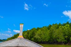 13 BEST Bonaire Shore Excursions: Things to Do, Cruise Day Tour