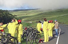 17 BEST Maui, HI Shore Excursions: Things to Do, Cruise Day Tour