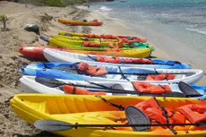26 BEST St. Kitts (Port Zante) Shore Excursions: Things to Do, Cruise ...