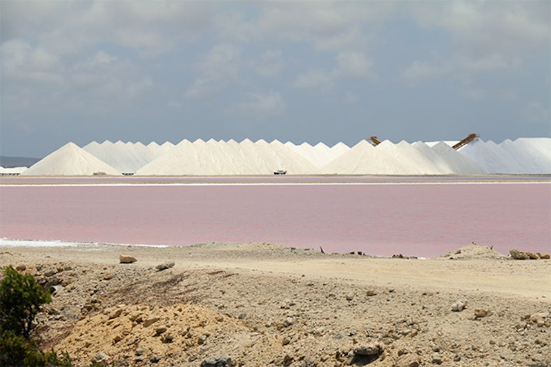 The Salt Flats of Bonaire