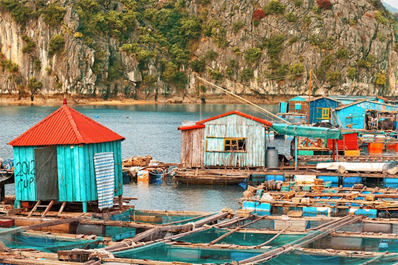 A Floating Village in Halong Bay