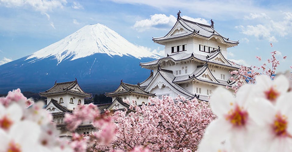 Around Japan, a Country-Intensive Cruise Offers a Deep Dive