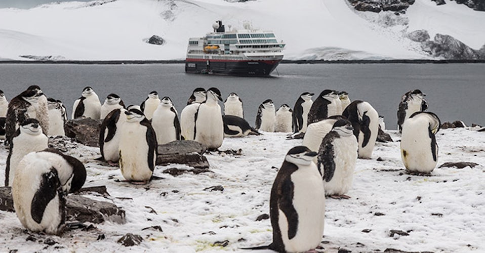 An A-to-Z, Pole-to-Pole Guide to Polar Cruises