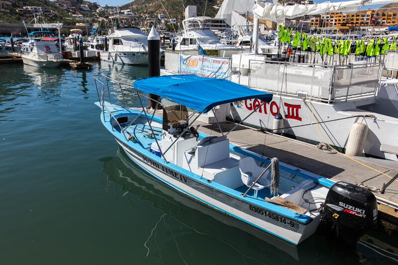 Cabo San Lucas on Crown Princess Cruise Ship Cruise Critic