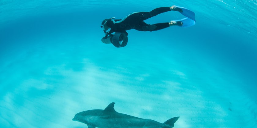 Diving off the Turks and Caicos Islands in the Caribbean Sea (Photo: Ethan Daniels/Shutterstock)