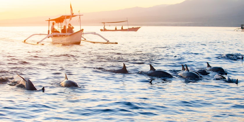 Dolphin Watching (Photo: NattapolStudiO/Shutterstock)
