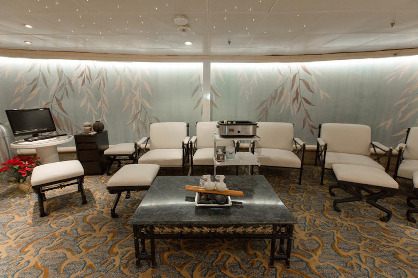 Relaxation Room on Voyager of the Seas