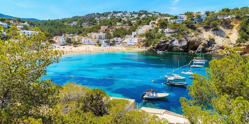 Cala Vadella Bay, Ibiza Island, Spain (Photo: Pawel Kazmierczak/Shutterstock)