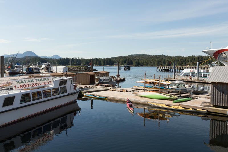 Ketchikan Cruise Ship Schedule 2022