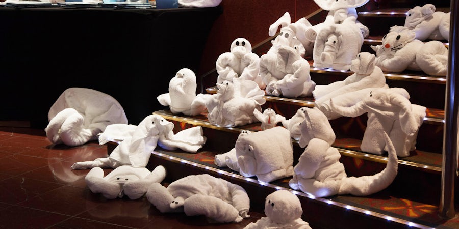 Norwegian Cruise Line to Eliminate Towel Animals on Some Ships, Cut Back on Others