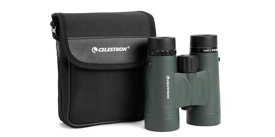 Best Travel Binoculars for an Alaska Cruise