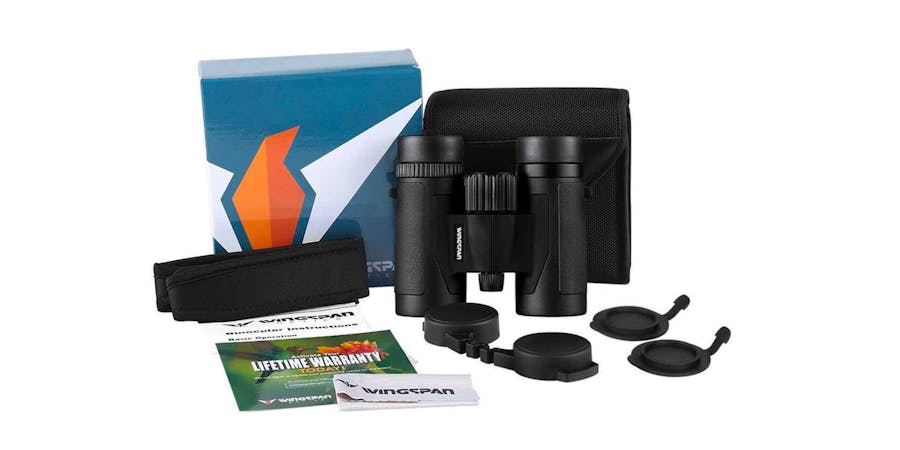 Best Travel Binoculars for an Alaska Cruise