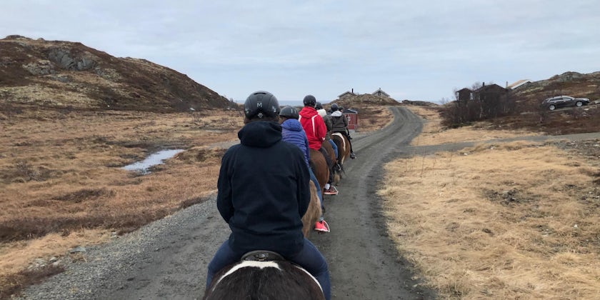 Horseriding Lofoten islands