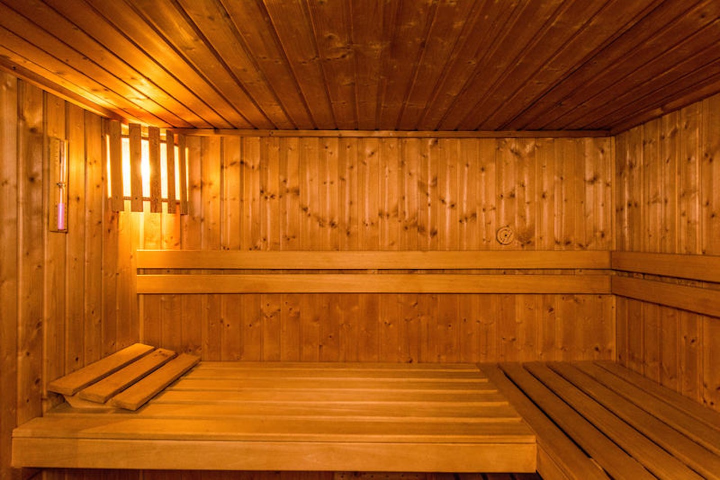 Sauna & Steam Room on River Adagio