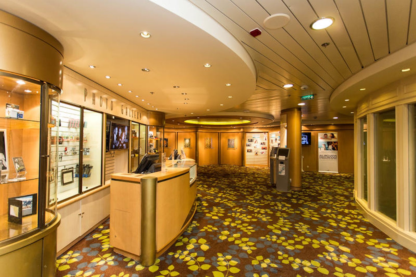 Photo and Video Gallery on Celebrity Infinity