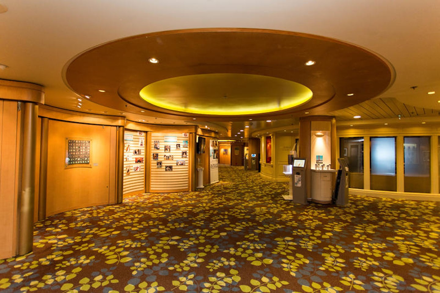 Photo and Video Gallery on Celebrity Infinity