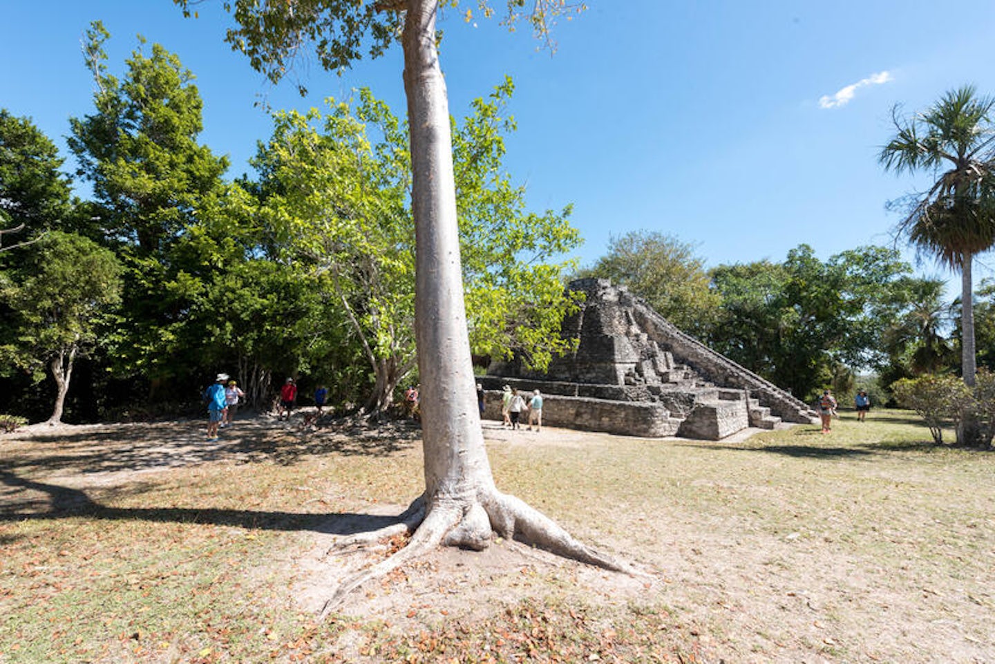 Mayan Ruins Excursion at Costa Maya Port