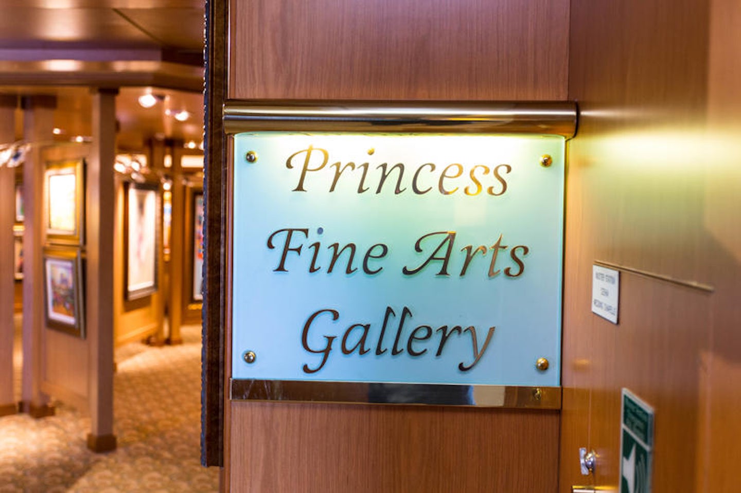 Art Gallery on Island Princess
