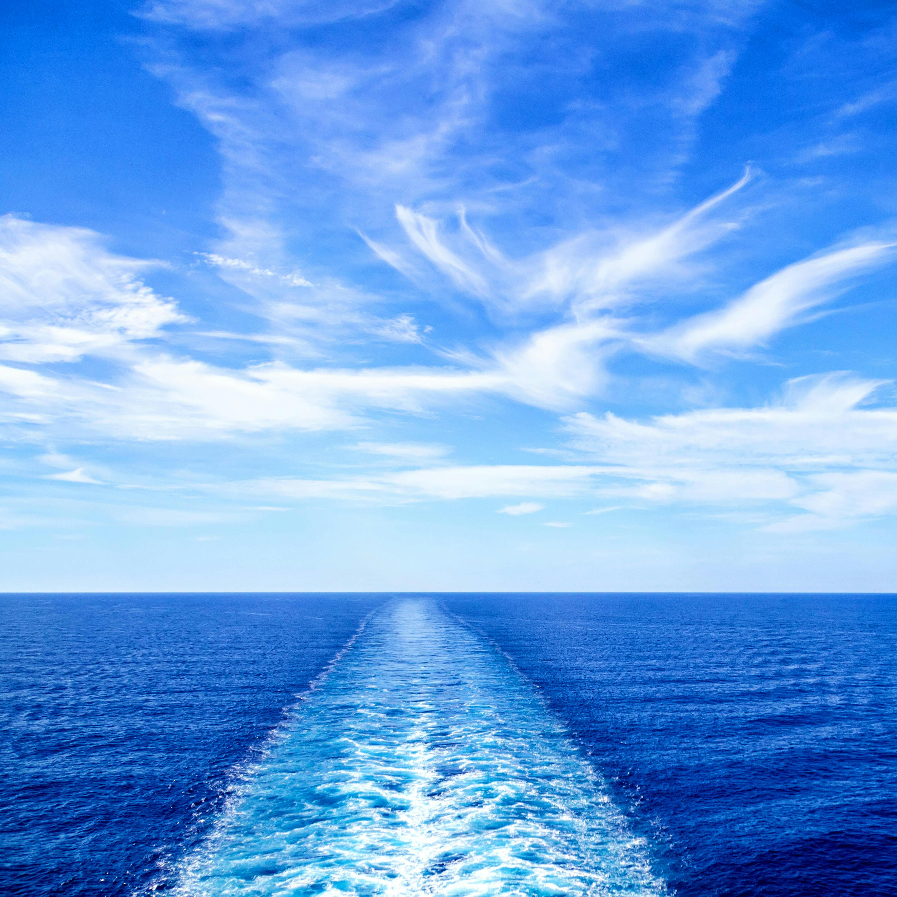 25 BEST Transpacific Cruises 2021 (Prices + Itineraries) Cruises to