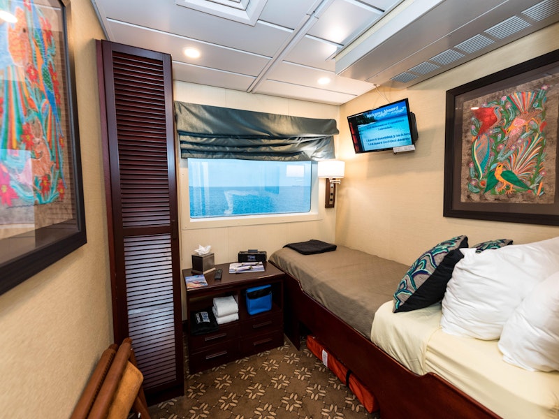 cruise ships that have single cabins