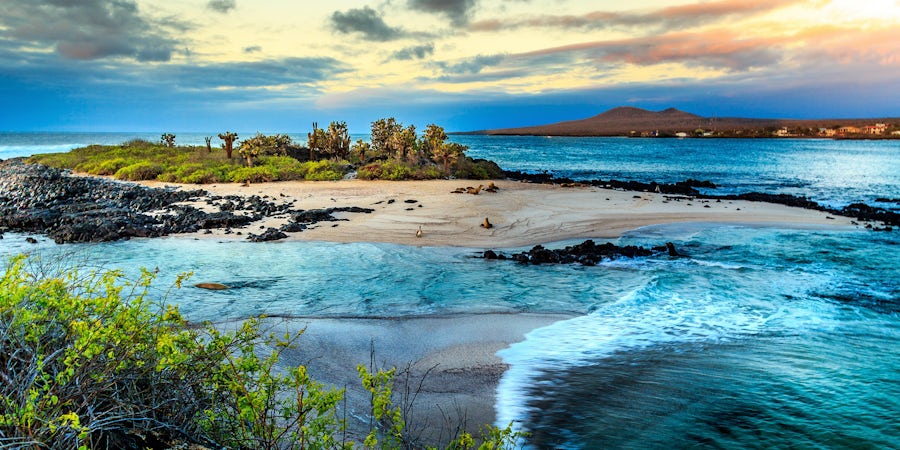 Galapagos Islands Cruise Tips
