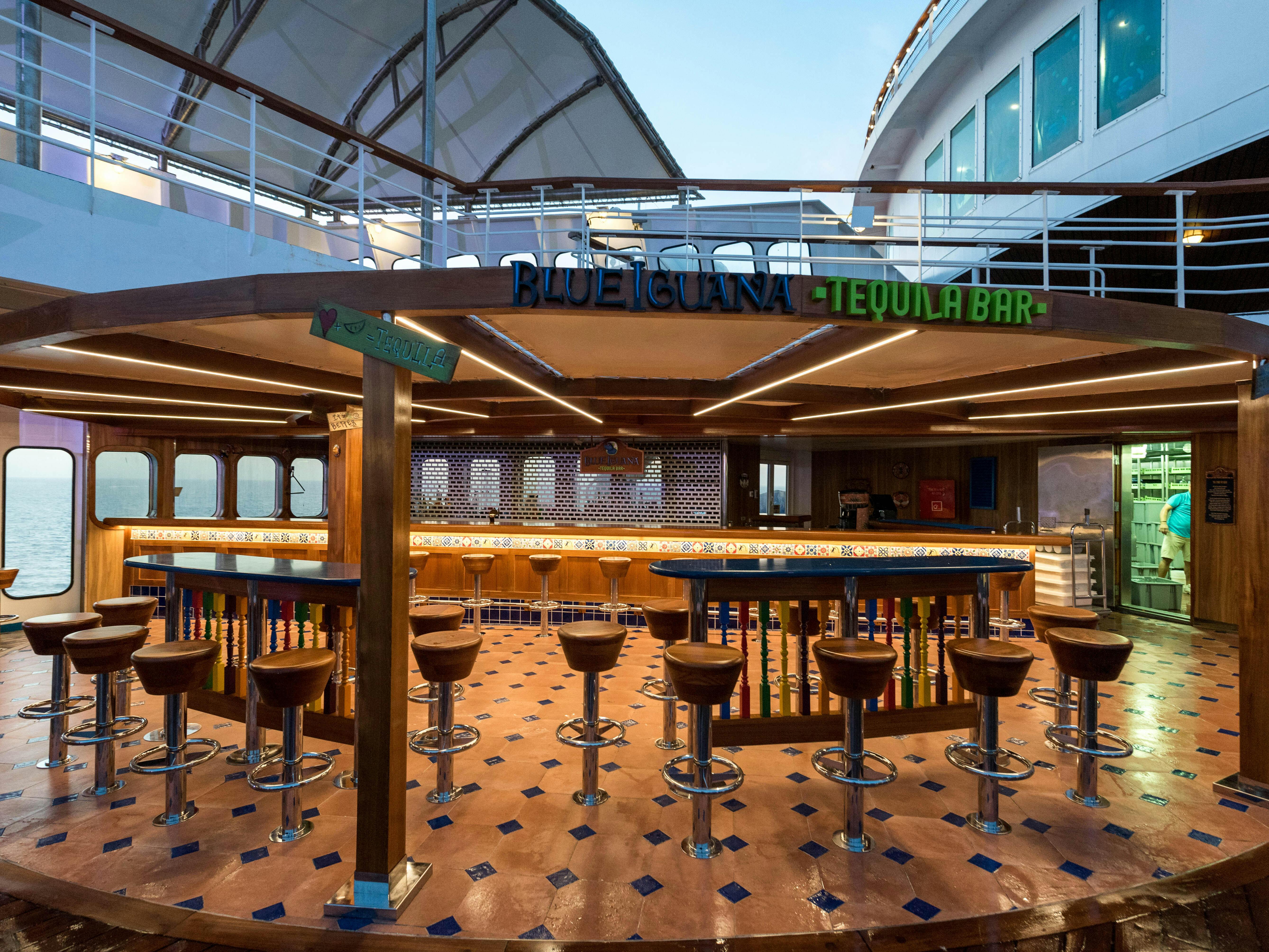 carnival cruise elation reviews