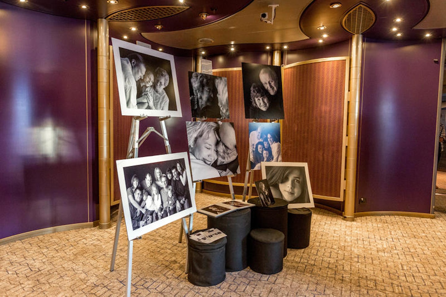 Photo and Video Gallery on Zuiderdam
