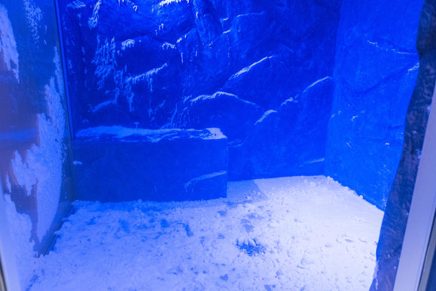 Snow Grotto on Viking Sea