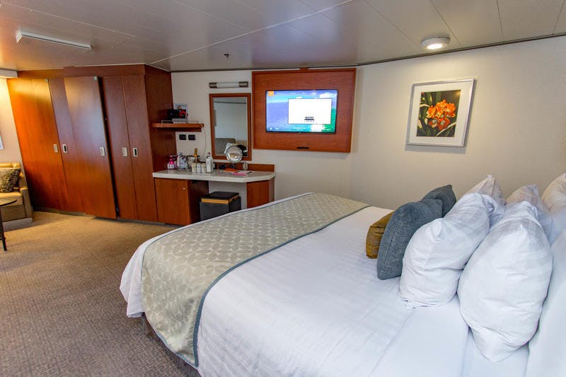 Large OceanView Spa Cabin on Holland America Eurodam Cruise Ship