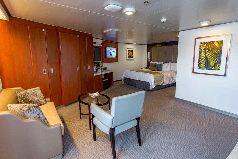 Large OceanView Spa Cabin on Holland America Eurodam Cruise Ship