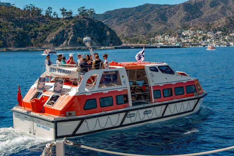 Catalina Island on Ruby Princess Cruise Ship Cruise Critic