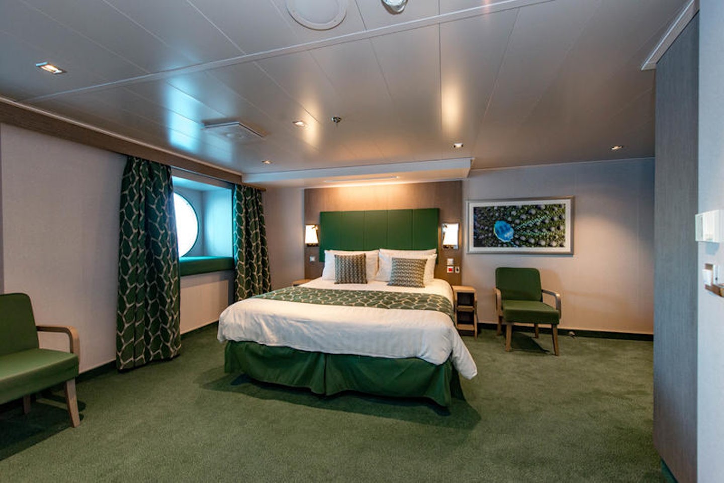 The Accessible Ocean-View Cabin on MSC Seaview