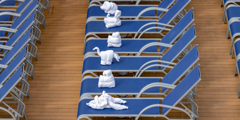 Towel Animals on Carnival Dream (Photo: Cruise Critic)