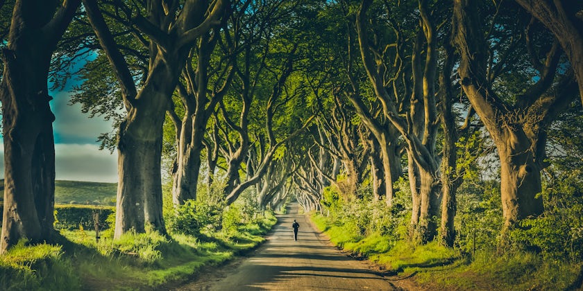 The Dark Hedges, near Belfast, Northern Ireland, a famous location from the TV series Game of Thrones. (Photo: Shailpik Biswas/Shutterstock)