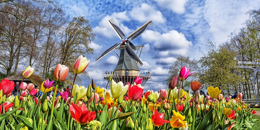 Photograph of the Dutch windmill and colorful tulips in spring garden of flowers Keukenhof, Holland, Netherlands - Photography by MarinaD_37 via Shutterstock)