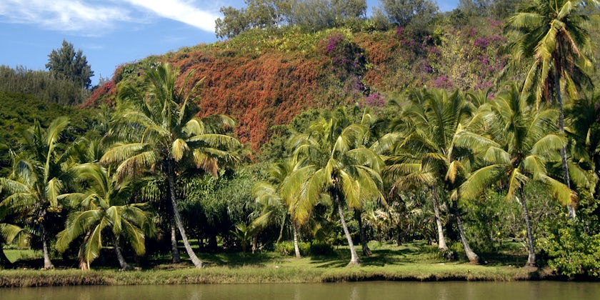 Photograph: Palm trees and river bank are bright in sunshine with blue skies in Allerton Garden, Kauai, Hawaii - Photography by Bonita R. Cheshier via Shutterstock