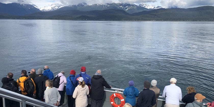 Passengers Looking for Whales Onboard Ferry (Photo: Christina Janansky/Cruise Critic)