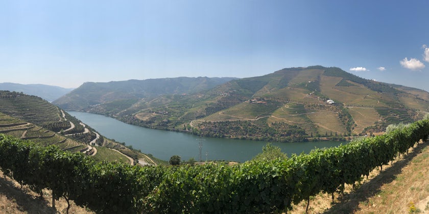 Panoramic view of the Douro River (Photo: Adam Coulter)