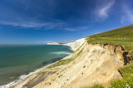 Isle of May, ,UK