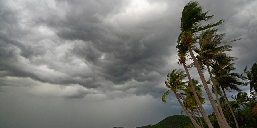 What happens to cruise ships during the pandemic's hurricane season?