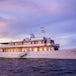 Quasar Expeditions Miami Cruise Reviews