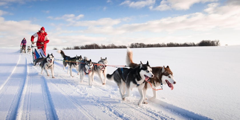 Dog-sledding (Photo: gillmar/Shutterstock.com)