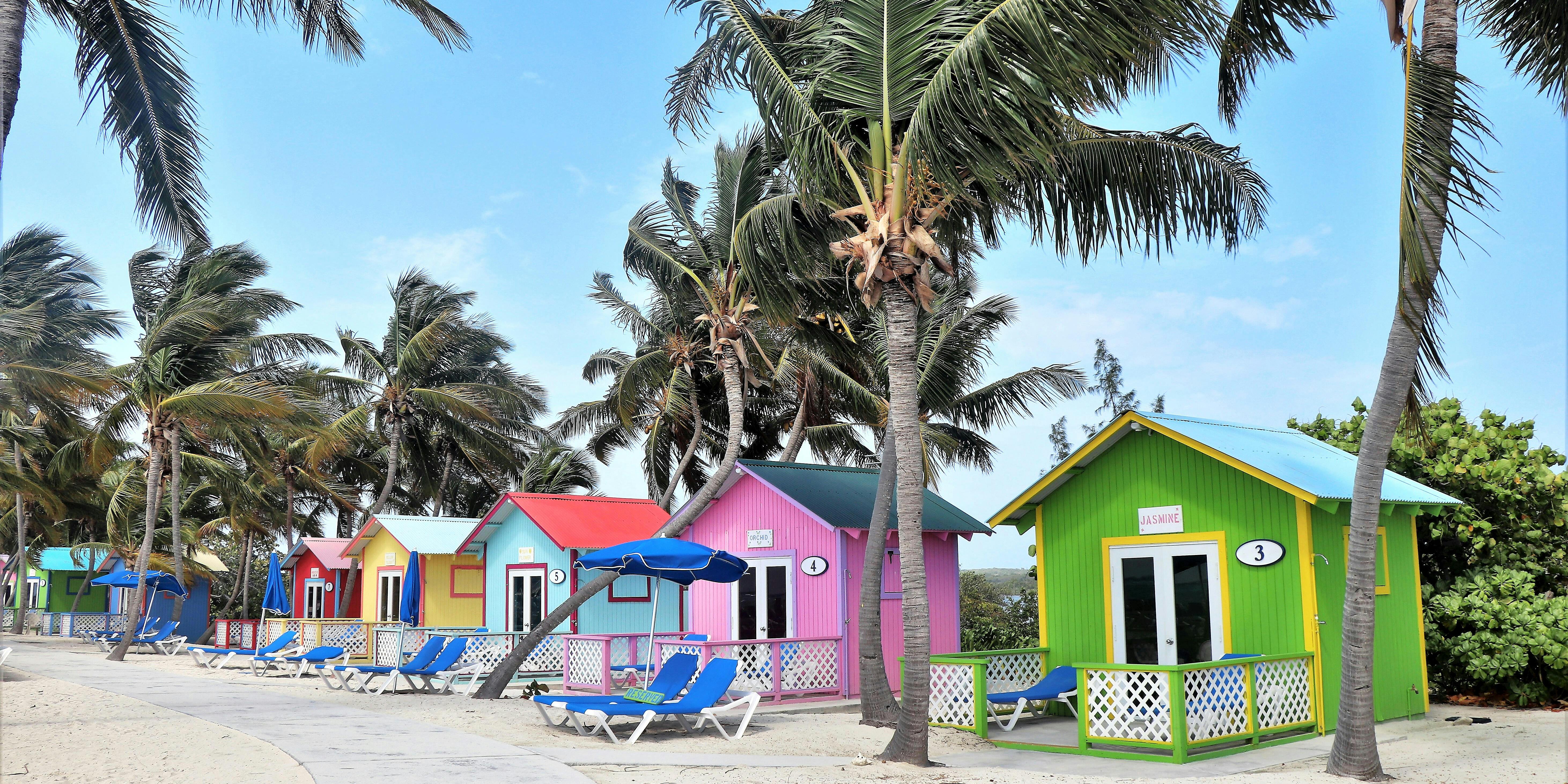 princess cays dune buggy