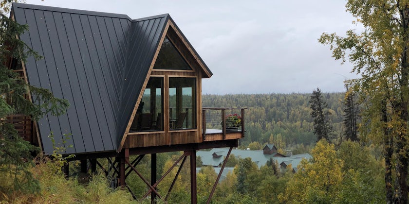 View of The Treehouse surrounded by lush green forest in Alaska