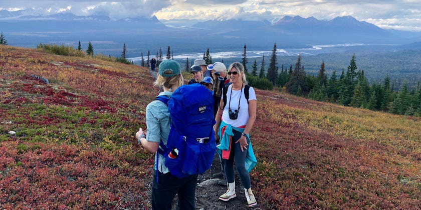 A hiking excursion from the Mt McKinley Princess Wilderness Lodge (Photo: Chris Gray Faust/Cruise Critic)