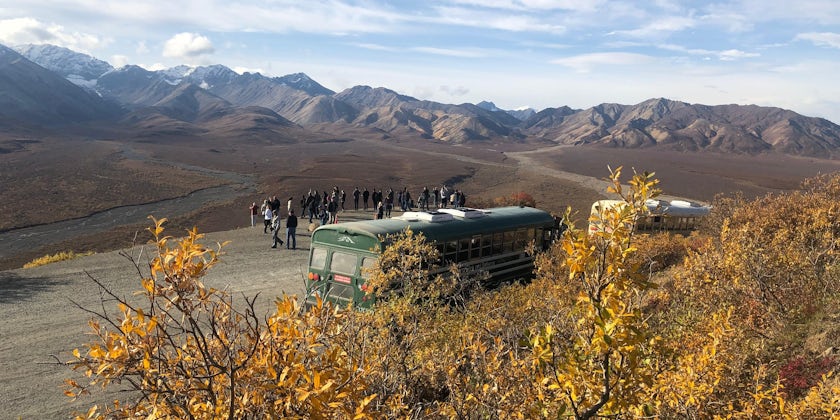 The Bus and Passengers Enjoying Scenic Views on the Denali Tundra Tour (Photo: Chris Gray Faust/Cruise Critic)