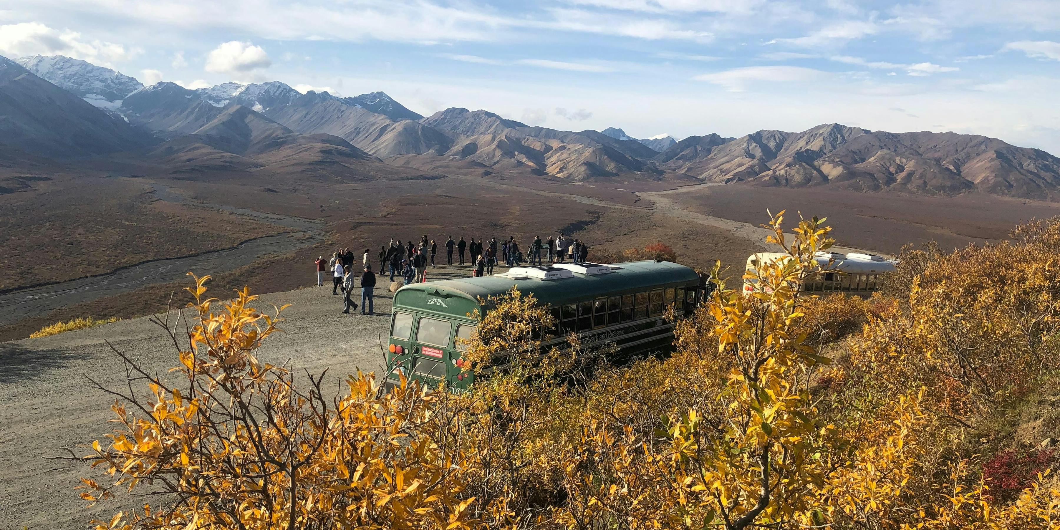 Denali Tundra Wilderness Bus Tour Excursion Review