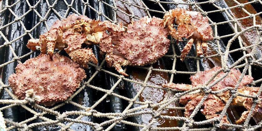 Crabs displayed on the fishing net from the catch of the day (Photo: Chris Gray Faust/Cruise Critic)